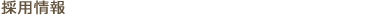 採用情報