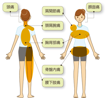 頭痛、肩の痛み、腰痛、膝の痛、がんの痛
